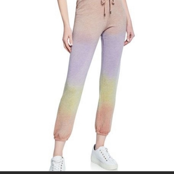 Sundry Pants - 🌷Sundry French Terry Omber Sweatpants Size L
